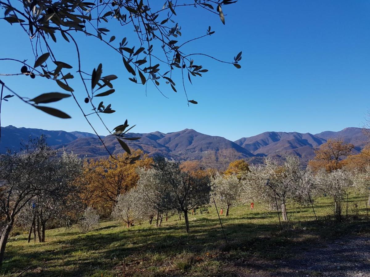 Villa Agriturismo La Vecchia Cascina à Filattiera Extérieur photo